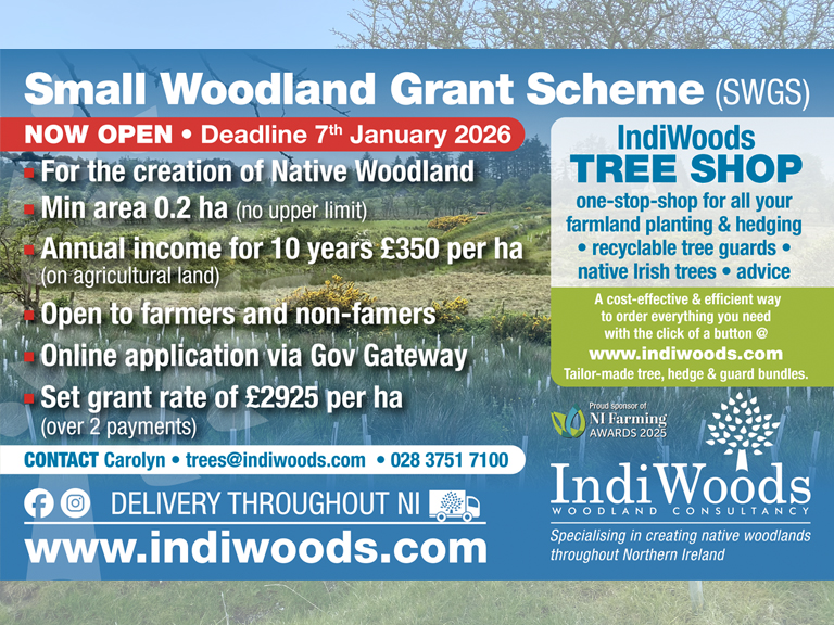 Indiwoods Celebrating National Tree Week 2025 with the launch of the DAERA Small Woodland Grant Scheme