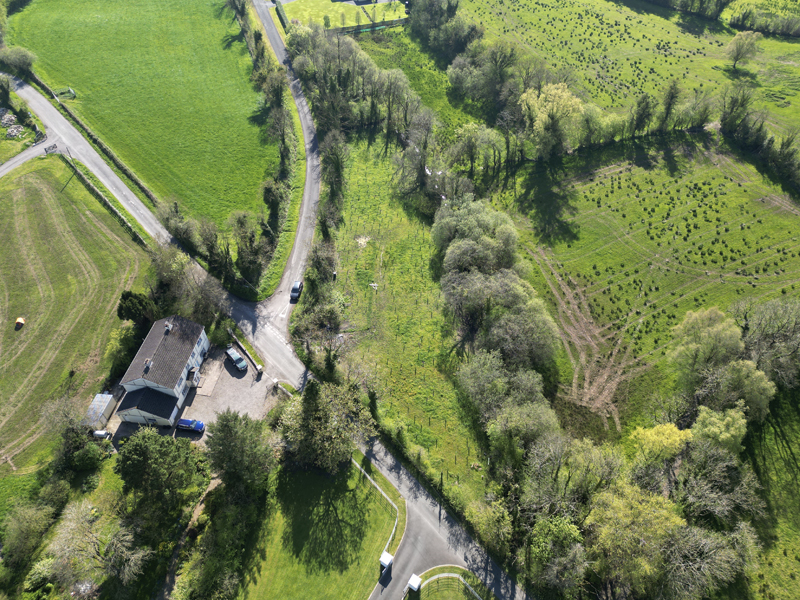 Small Woodland, Big Dreams: Niall’s Journey to Create a Native Irish Woodland, planted by Indiwoods