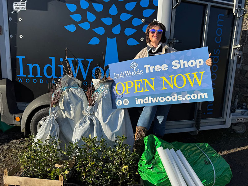 Buy native trees in Northern Ireland from the Indiwoods Tree Shop
